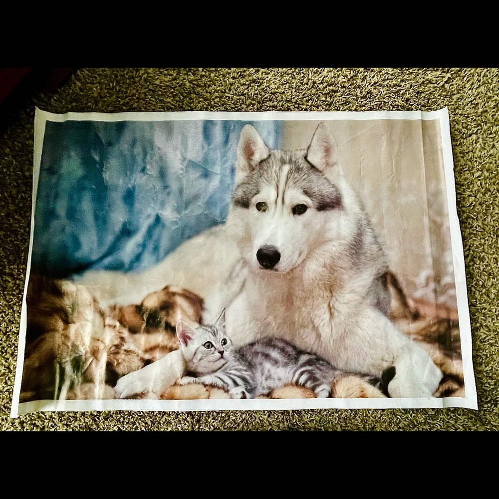 Siberian husky & kitten painting